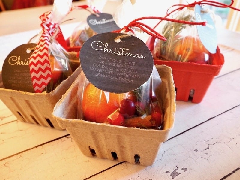 Inexpensive Gift Idea: CHRISTMAS SCENT Simmering Potpourri