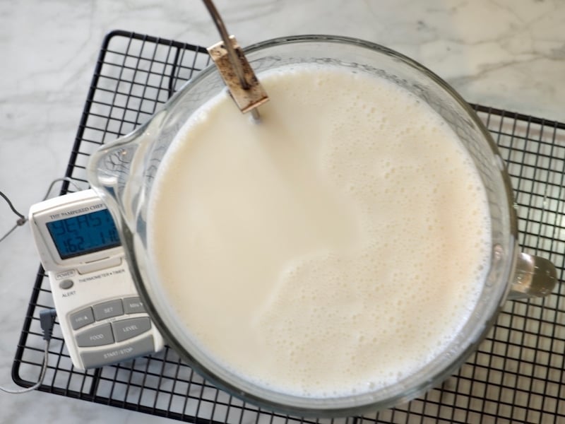  heated milk in glass mixing bowl with temperature probe and digital thermometer cooling. 