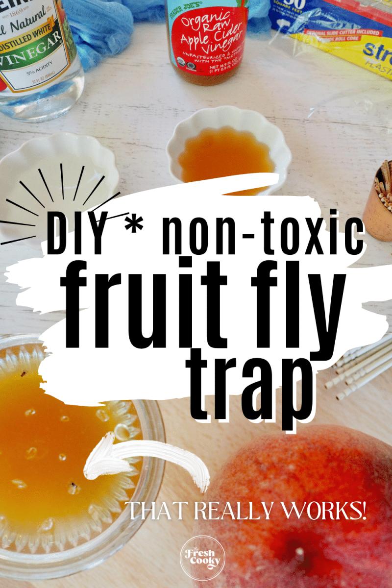 How to Get Rid of Fruit Flies FAST {Easy DIY Fruit Fly Trap}