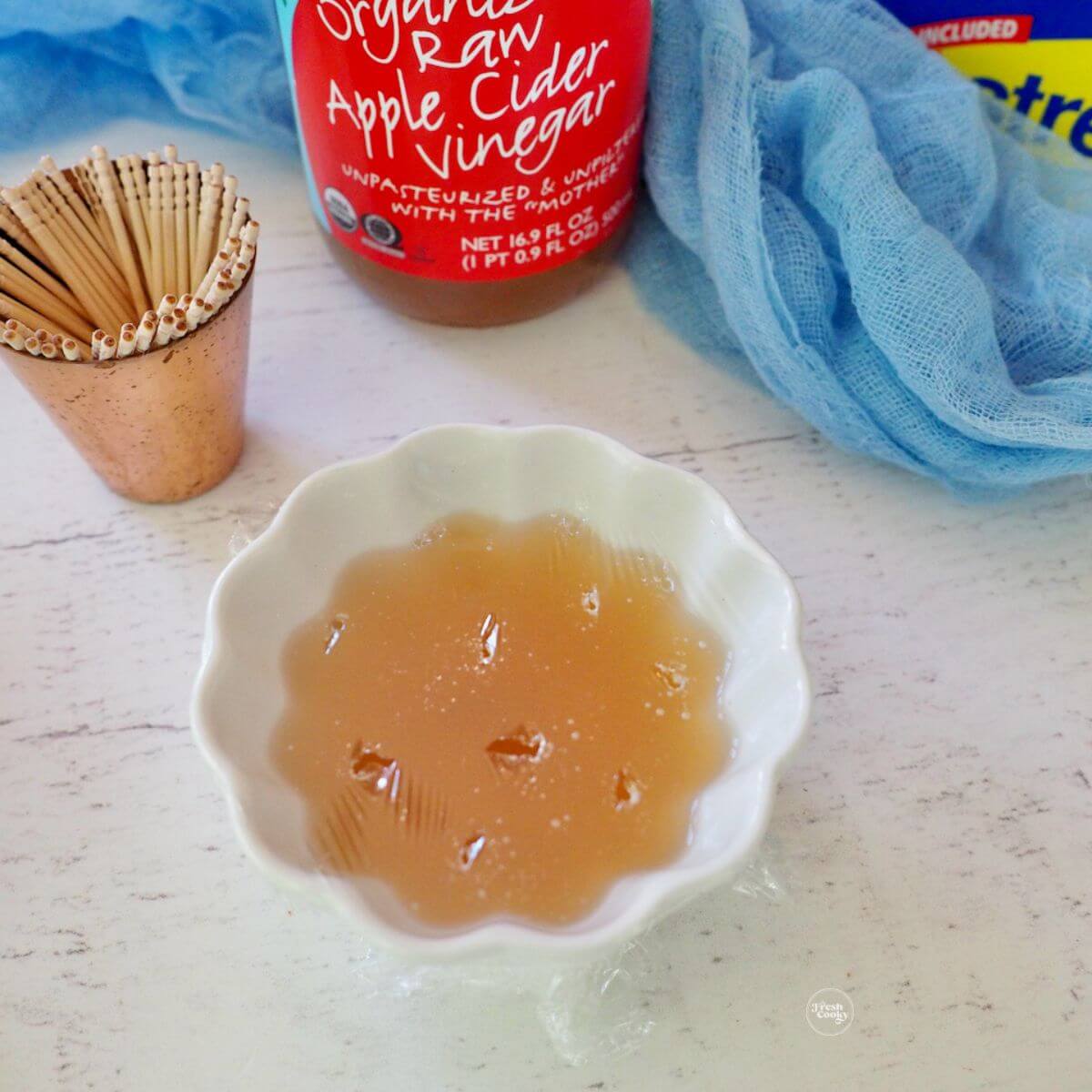 Homemade Fruit Fly Trap {Gnat Trap} • The Fresh Cooky