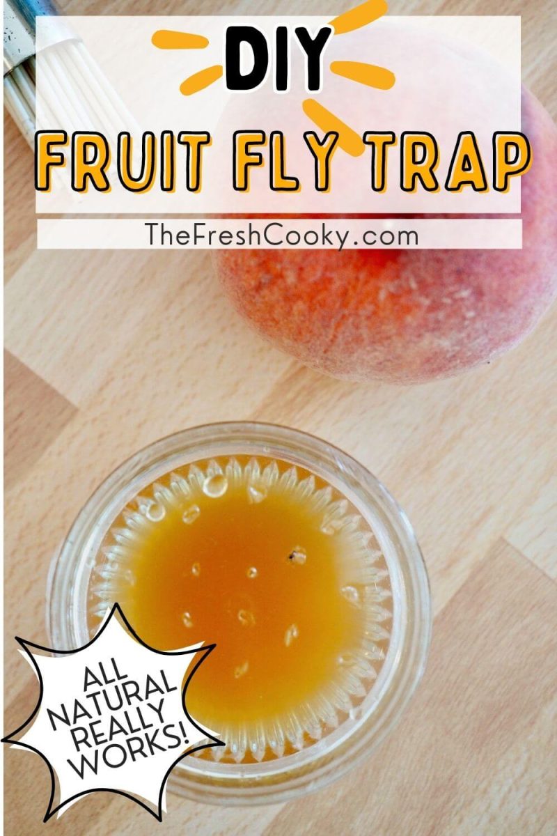 Easy Way to Trap Gnats and Fruit Flies ○ Vinegar Trick ✓ 