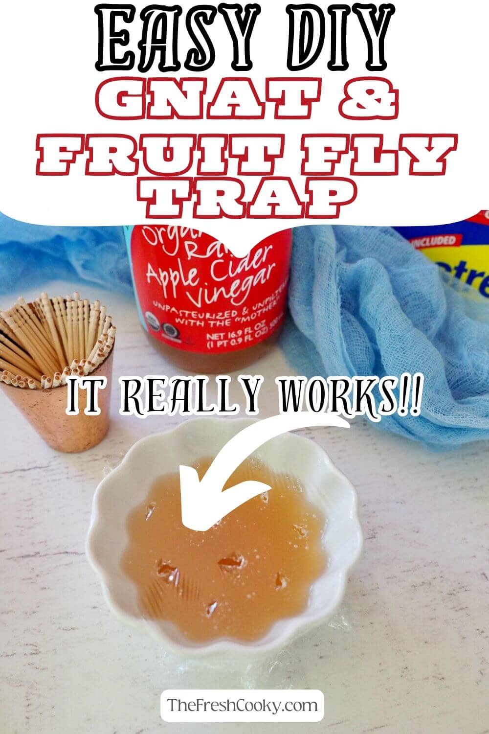 Homemade Fruit Fly Trap {Gnat Trap} • The Fresh Cooky