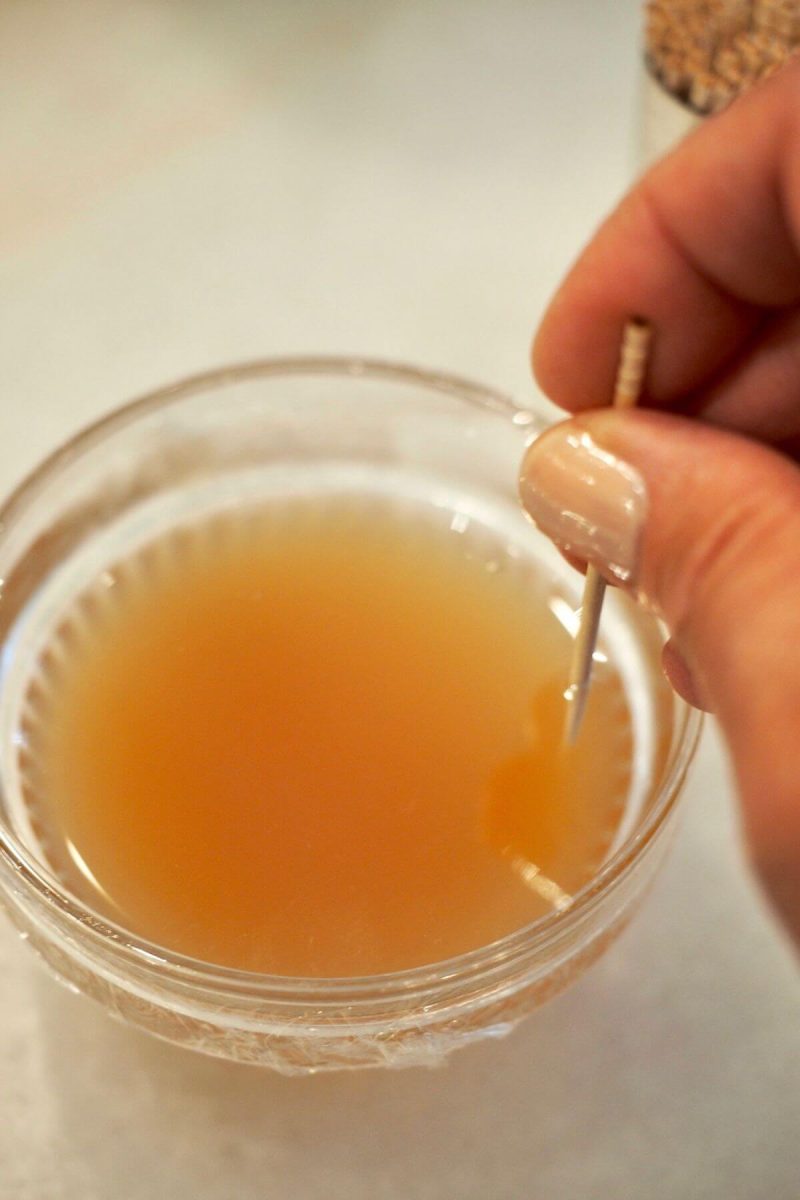 Make gnat traps using regular vinegar with a little sugar or use apple cider vinegar.