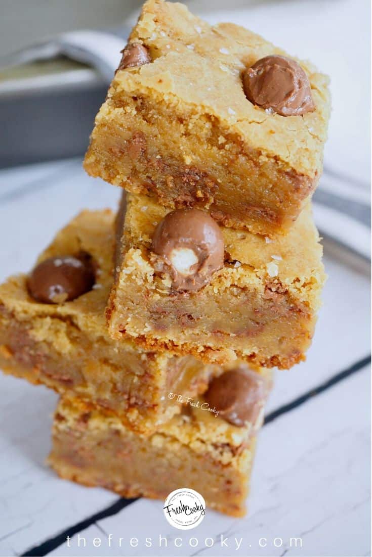 Easy Chewy Blondies • The Fresh Cooky