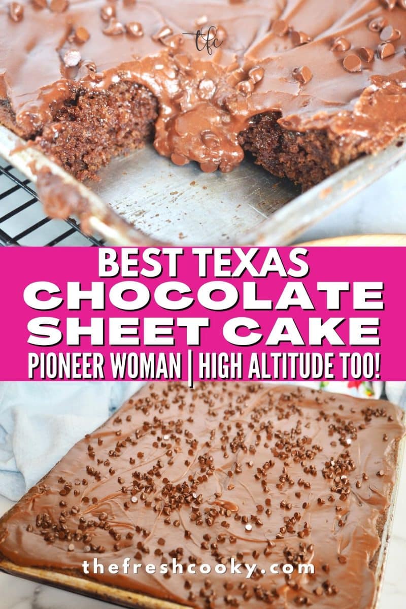 The Pioneer Woman's Chocolate Sheet Cake Recipe: The Best Texas Sheet Cake  Recipe Ever, Cakes/Cupcakes
