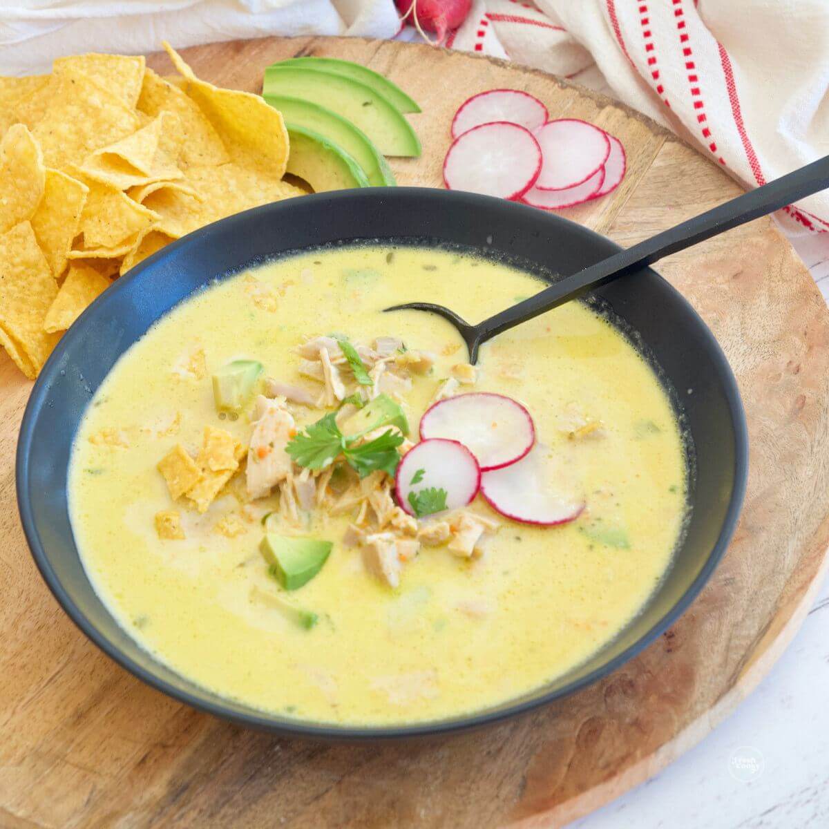 Creamy Chicken Enchilada Soup ~ Cold & Hot Blender Recipe - The Salted  Pepper