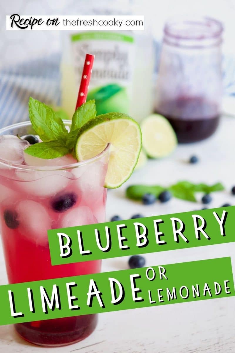 Blueberry Lime-Aid Slushie Recipe - Picky Palate