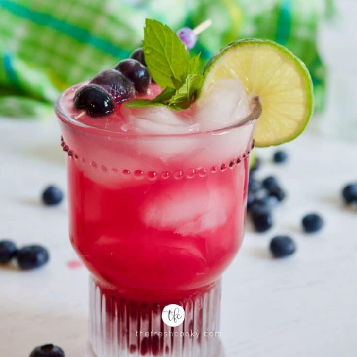 https://www.thefreshcooky.com/wp-content/uploads/2021/07/Blueberry-limeade-square-735x735.jpg