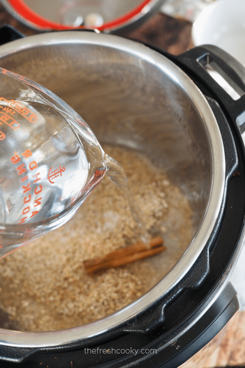 Instant Pot Oatmeal - Every Little Crumb old fashioned or steel