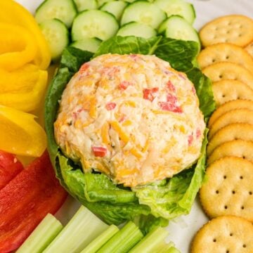 Best Pimento Cheese Recipe (Chicken Salad Chick)