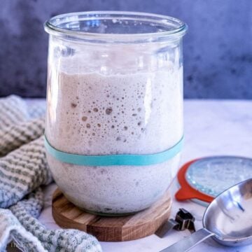 How to make Sourdough Starter